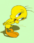 pic for Twetty bird